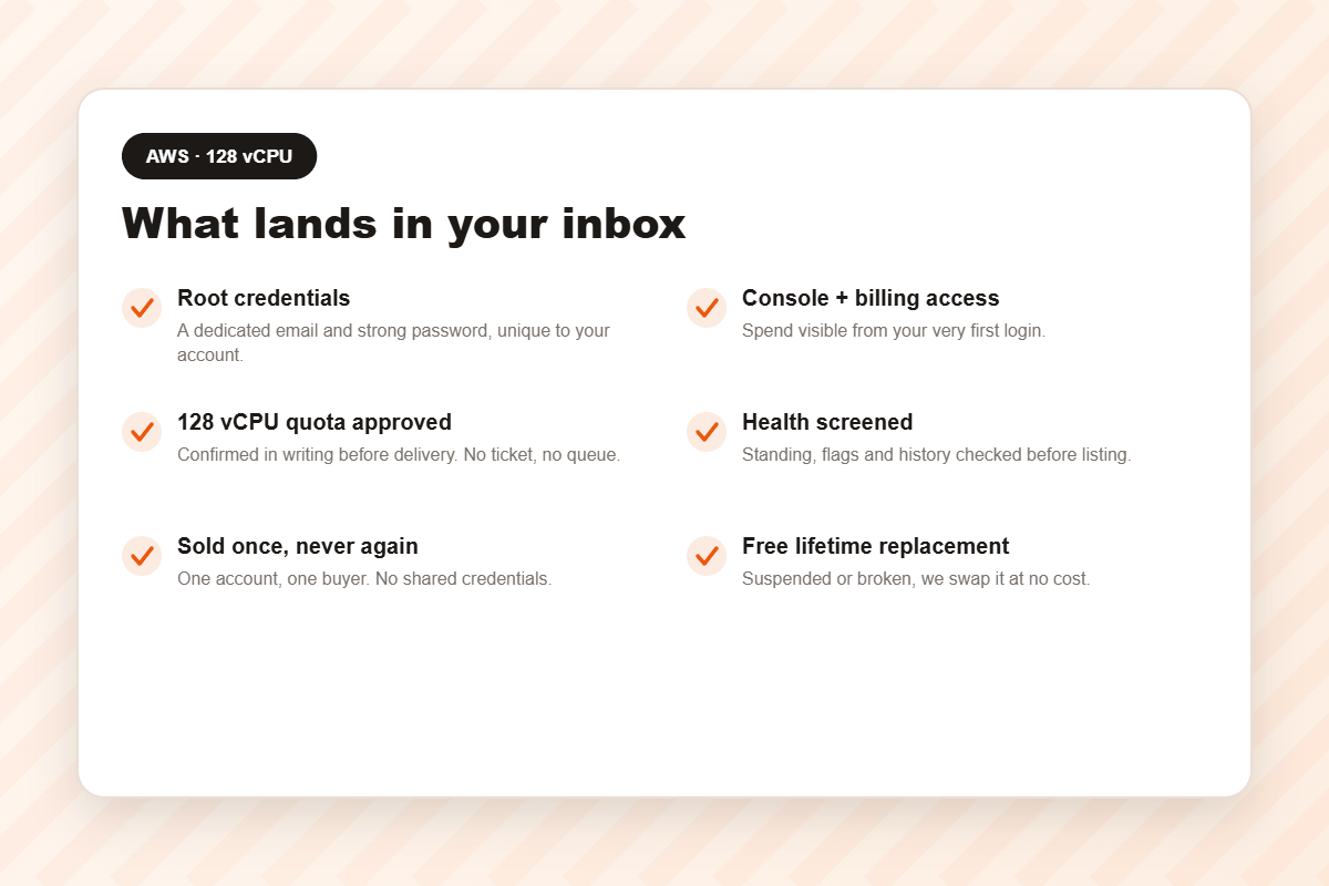 What you receive when you buy a verified AWS 128 vCPU account