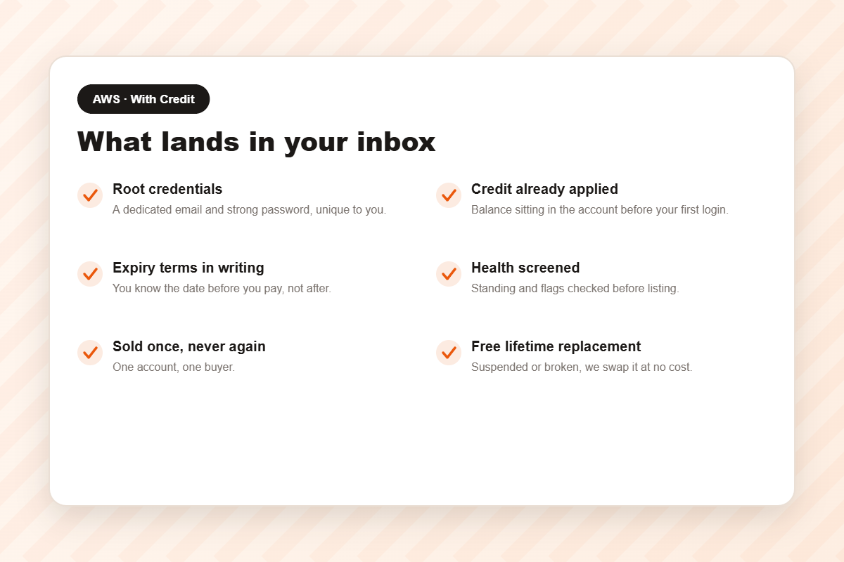 What you receive when you buy an AWS account with credit