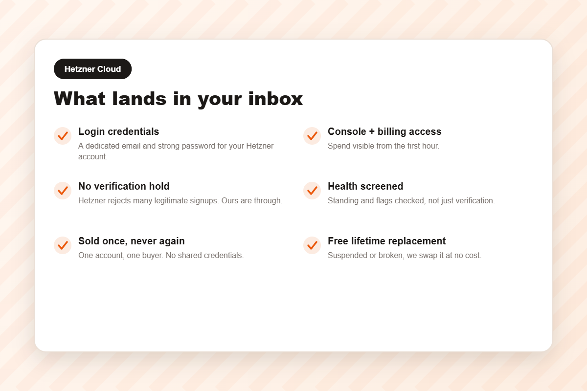 What you receive when you buy a verified Hetzner Cloud account
